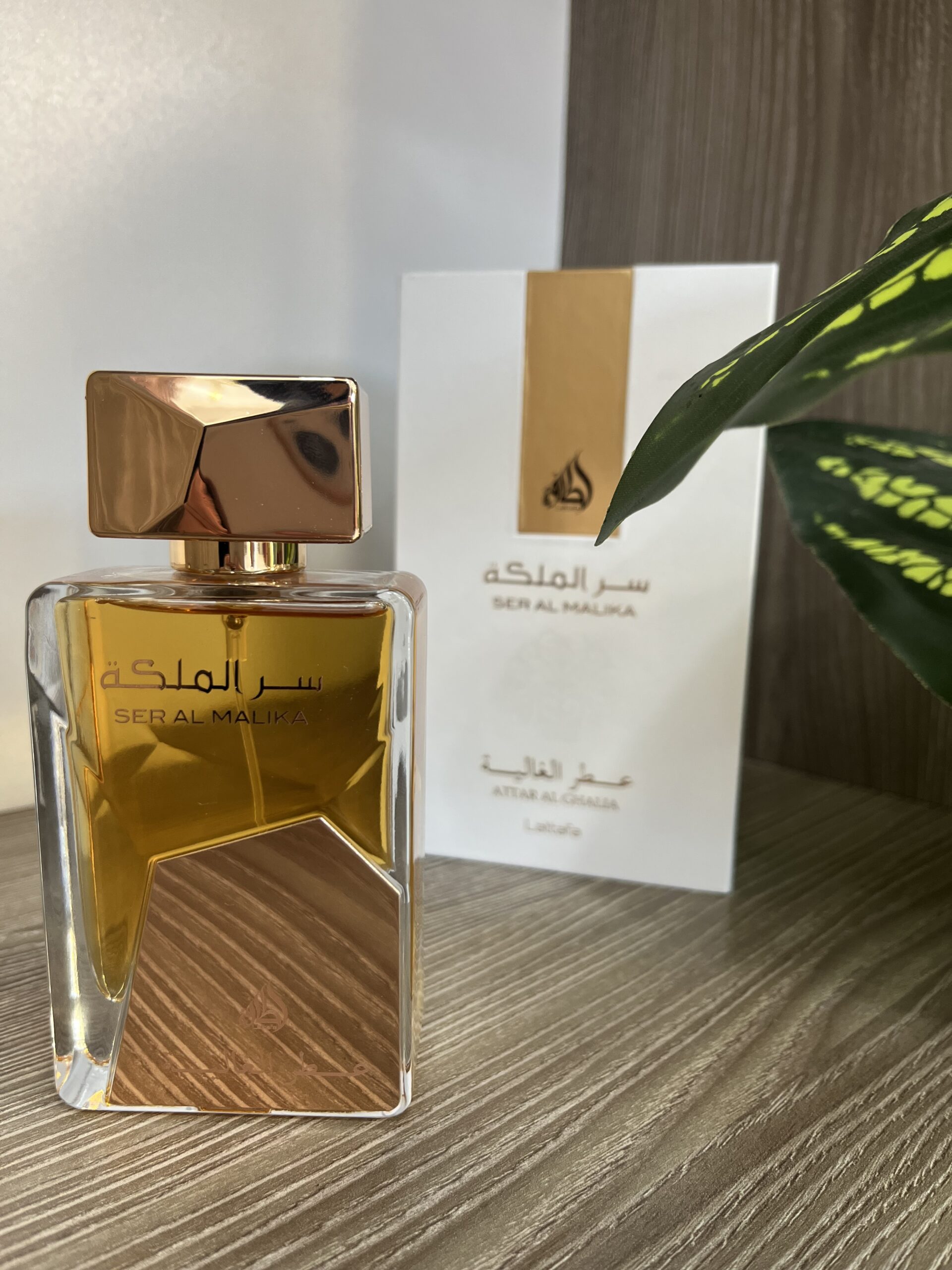 IMG_2710-scaled-1.jpeg سر الملكة-SER AL MALIKA - الصورة 1